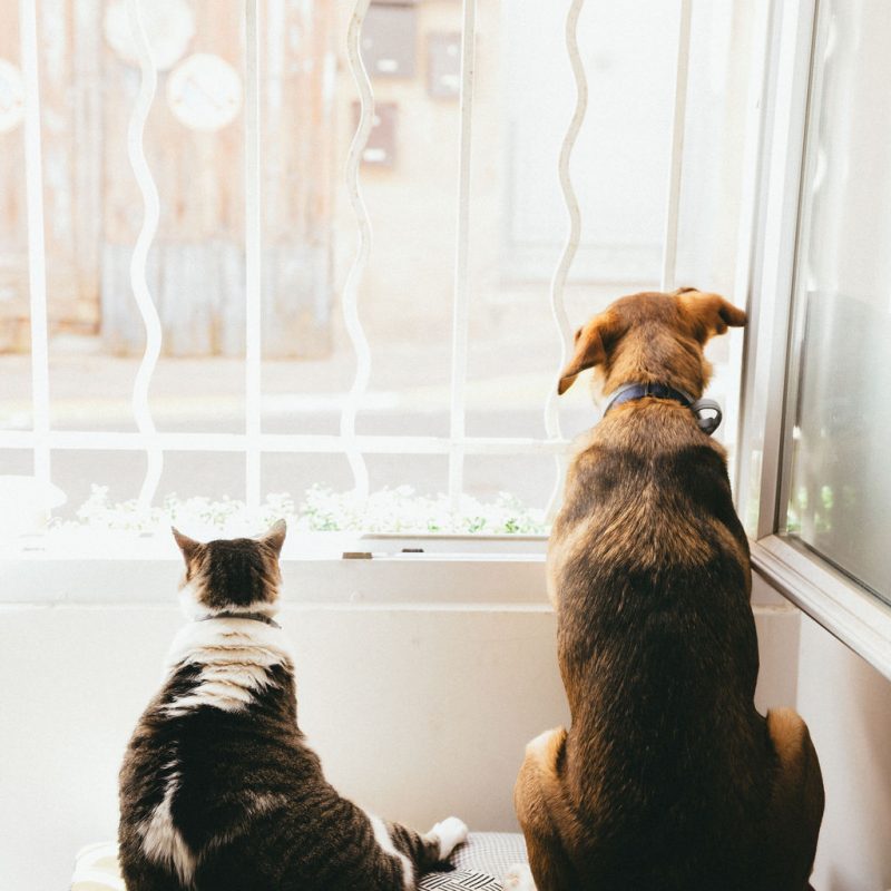 Le duo du Cercle
