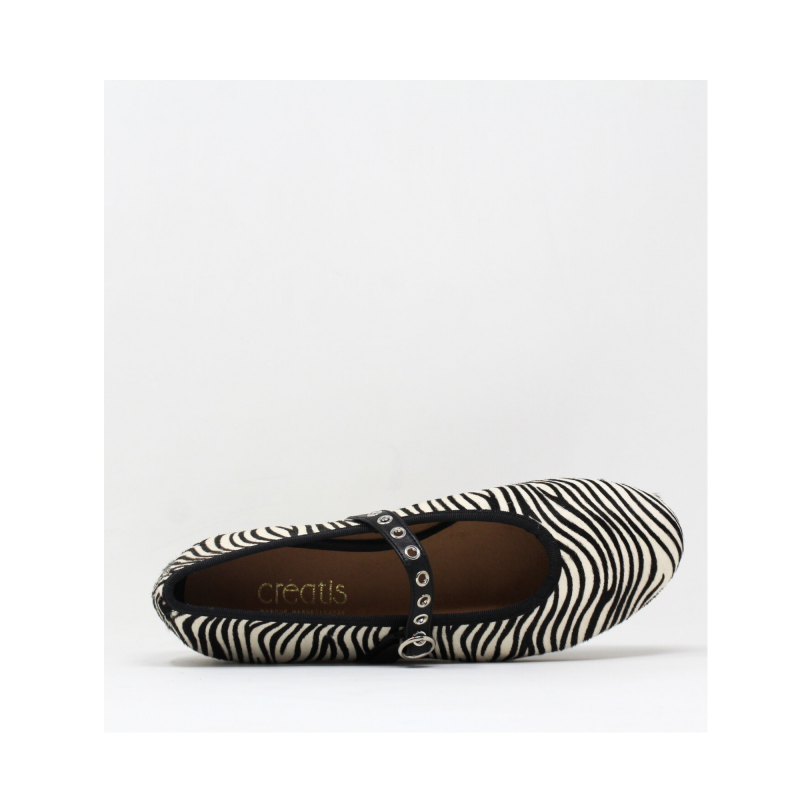 baby zebre creatis