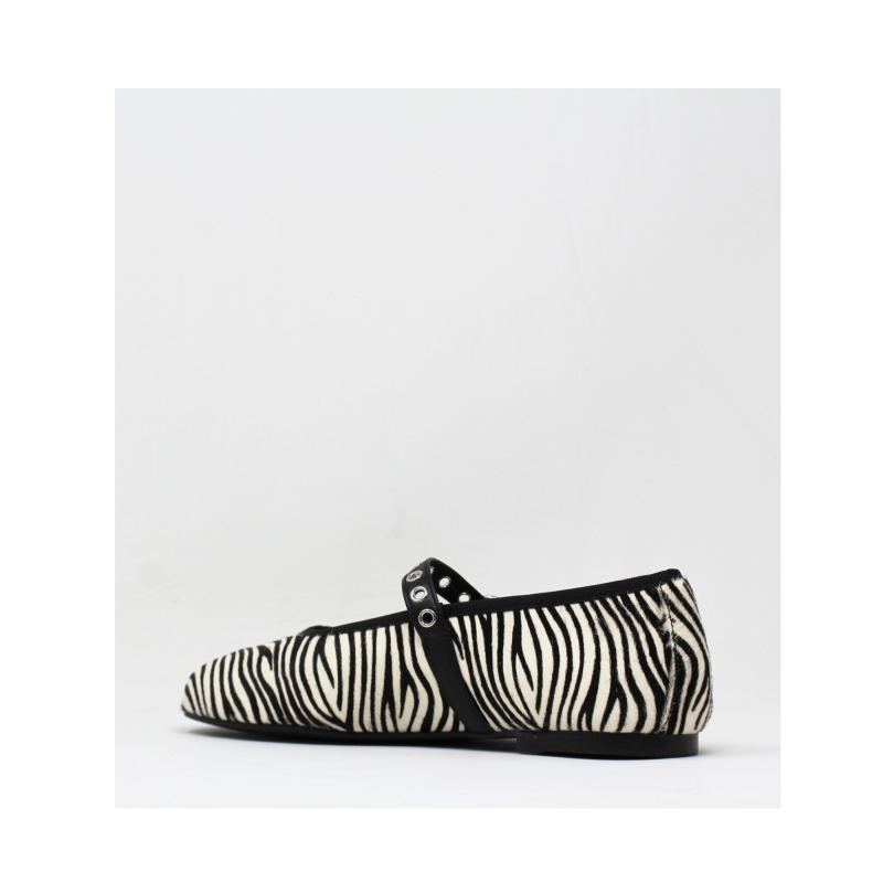 Baby 2 zebra – Image 5