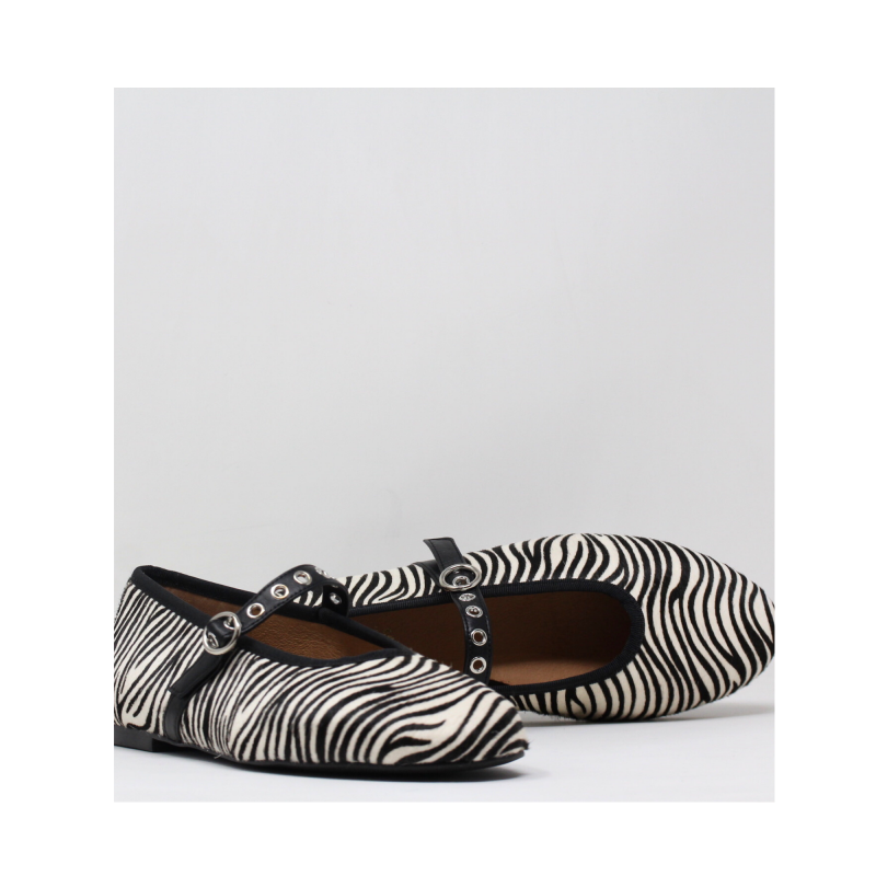 creatis baby zebre