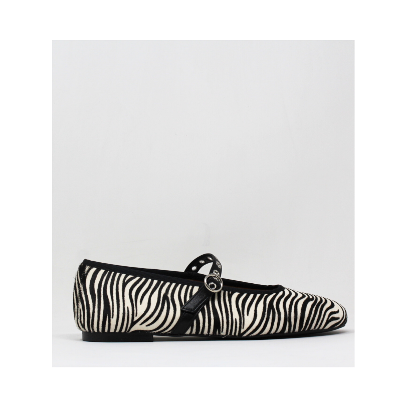Baby 2 zebra – Image 3